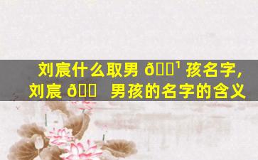 刘宸什么取男 🌹 孩名字,刘宸 🐠  男孩的名字的含义